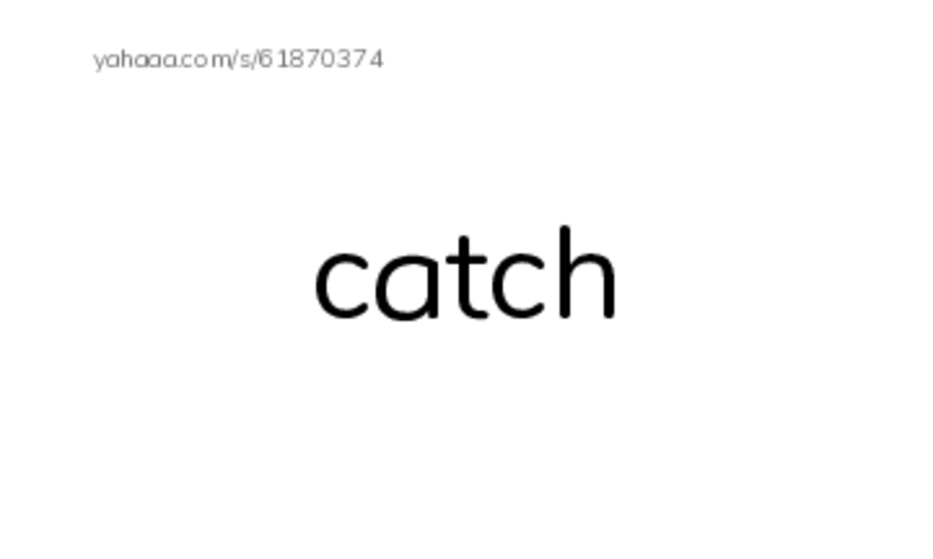 RAZ Vocabulary F: Night Animals PDF index cards word only