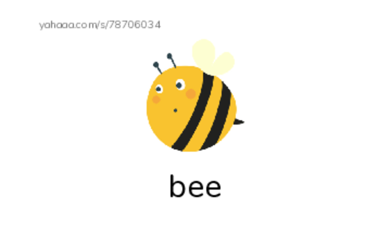 RAZ Vocabulary F: Where Is Cub1 PDF index cards with images