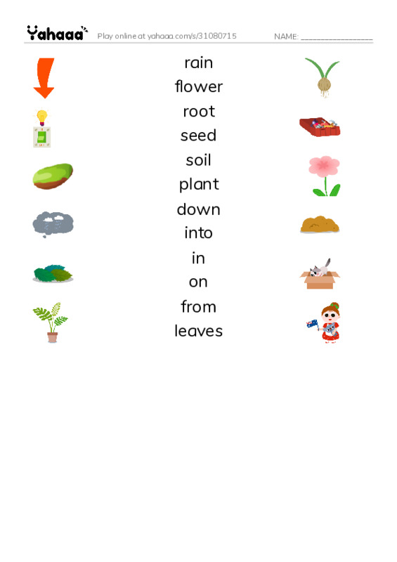 RAZ Vocabulary G: A Seed Grows1 PDF three columns match words