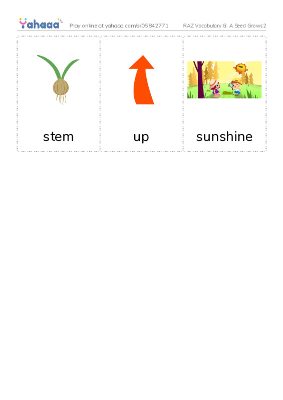RAZ Vocabulary G: A Seed Grows2 PDF flaschards with images