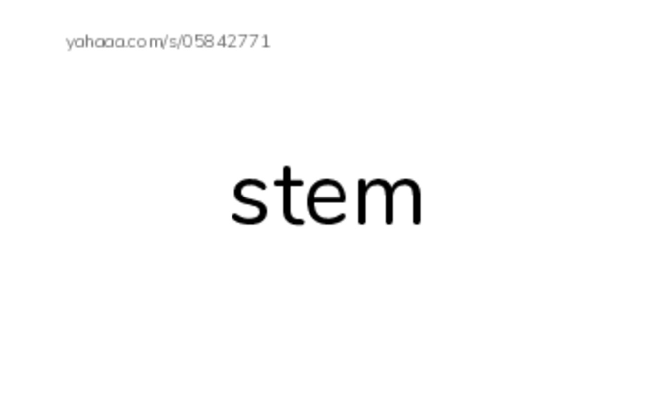 RAZ Vocabulary G: A Seed Grows2 PDF index cards word only