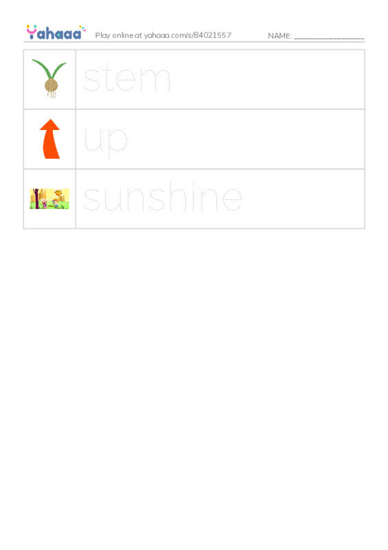 RAZ Vocabulary G: A Seed Grows2 PDF one column image words