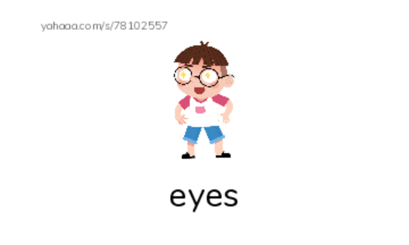 RAZ Vocabulary G: Animal Eyes PDF index cards with images