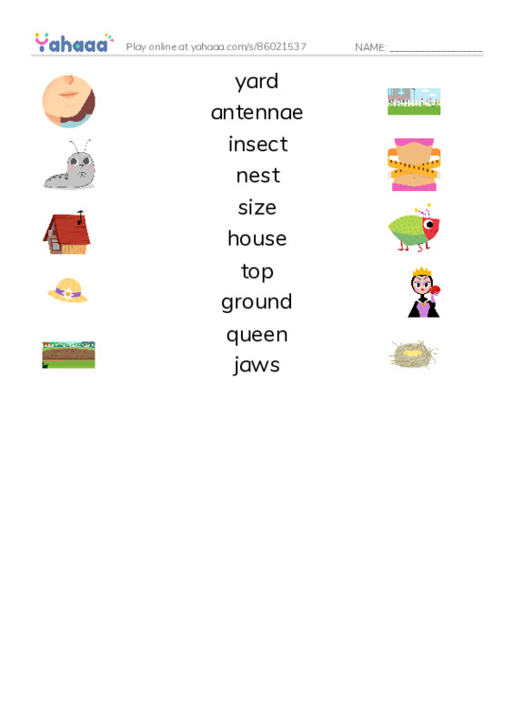 RAZ Vocabulary G: Ants Ants and More Ants PDF three columns match words