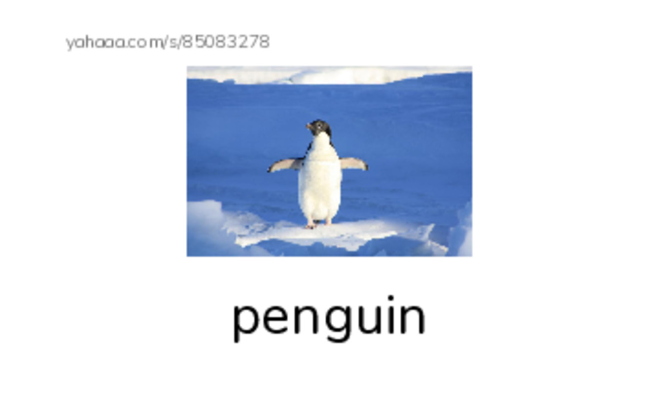 RAZ Vocabulary G: This Is a Bird PDF index cards with images