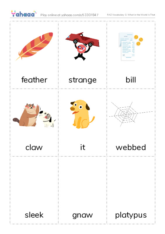 RAZ Vocabulary G: What in the World Is That PDF flaschards with images