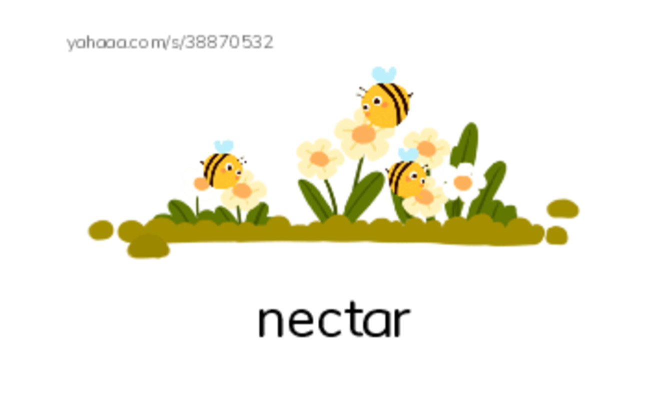 RAZ Vocabulary H: Butterfly Cafe PDF index cards with images