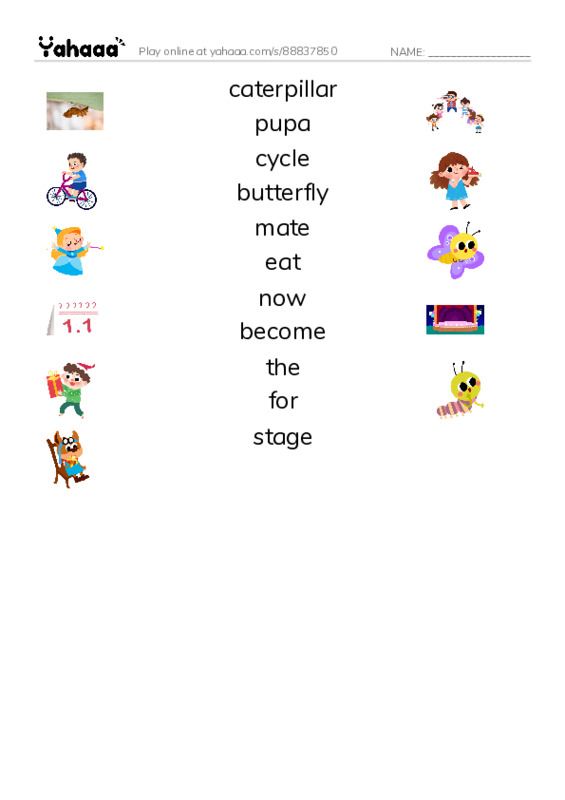 RAZ Vocabulary H: The Butterfly Life Cycle PDF three columns match words