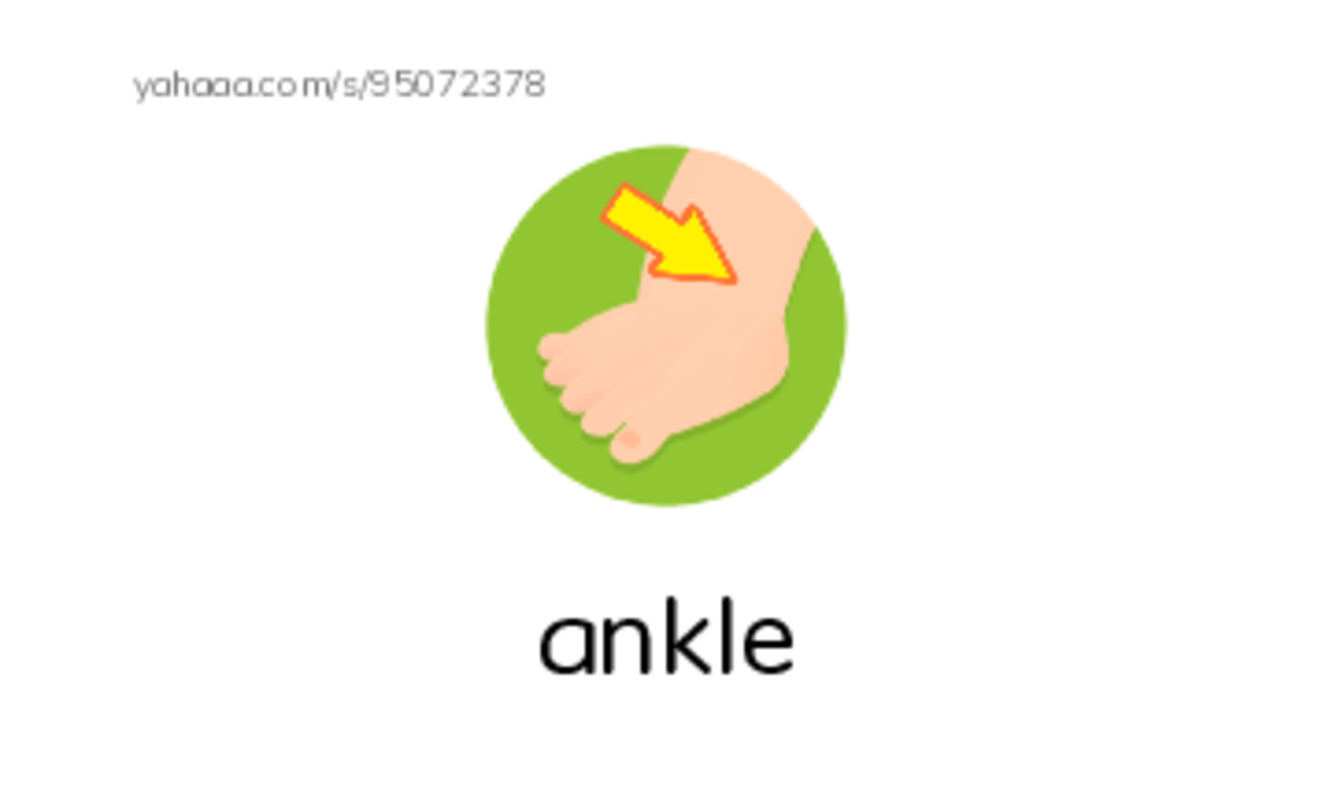 RAZ Vocabulary H: The Day I Needed Help PDF index cards with images