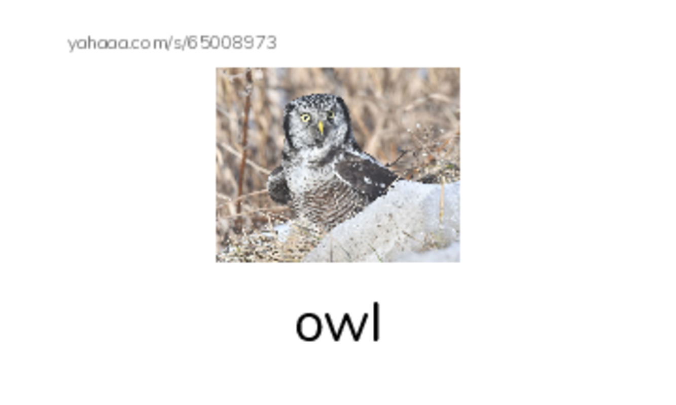 RAZ Vocabulary H: The Owl and the Pussycat PDF index cards with images