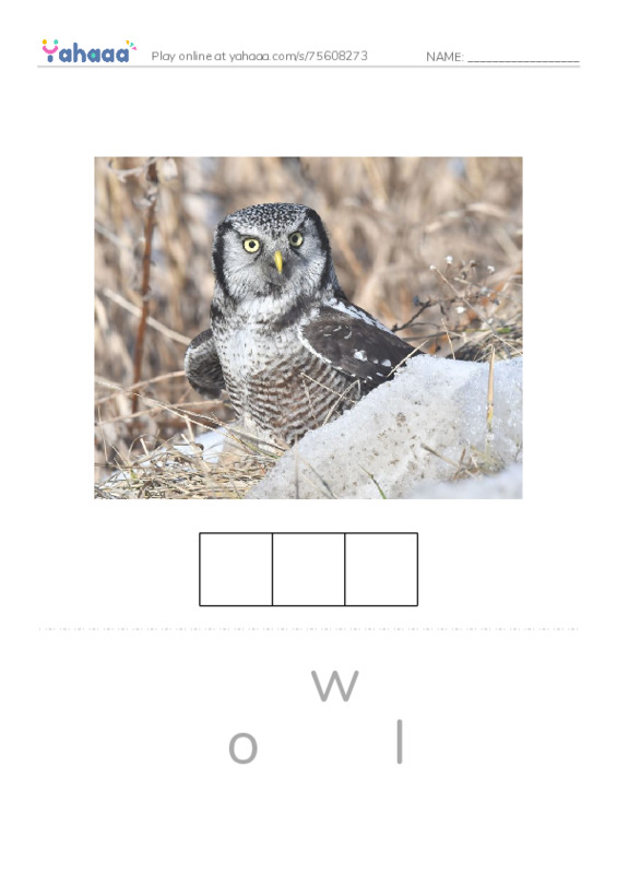 RAZ Vocabulary H: The Owl and the Pussycat PDF word puzzles worksheet