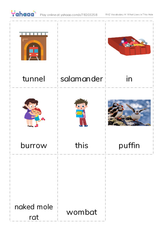 RAZ Vocabulary H: What Lives in This Hole PDF flaschards with images