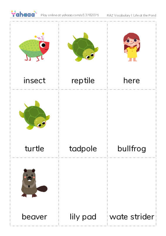 RAZ Vocabulary I: Life at the Pond PDF flaschards with images