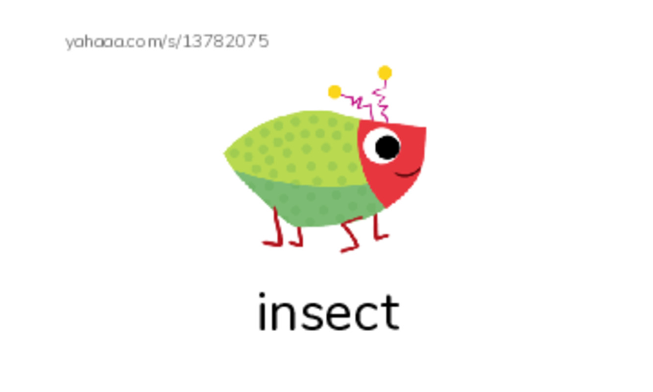 RAZ Vocabulary I: Life at the Pond PDF index cards with images