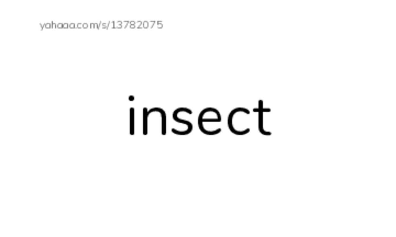 RAZ Vocabulary I: Life at the Pond PDF index cards word only