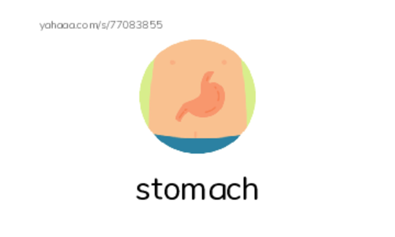 RAZ Vocabulary J: A Rainbow of Food PDF index cards with images