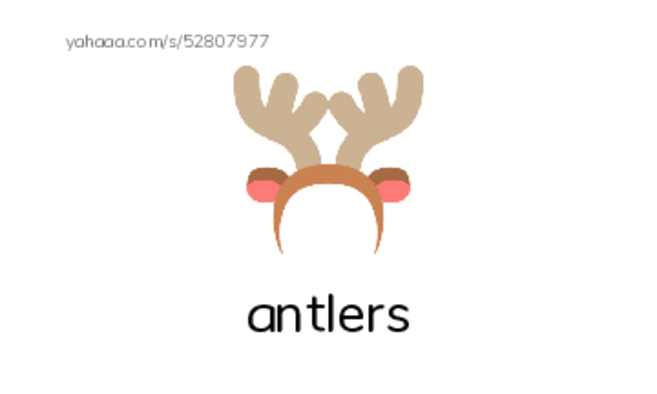 RAZ Vocabulary K: Animals Animals PDF index cards with images