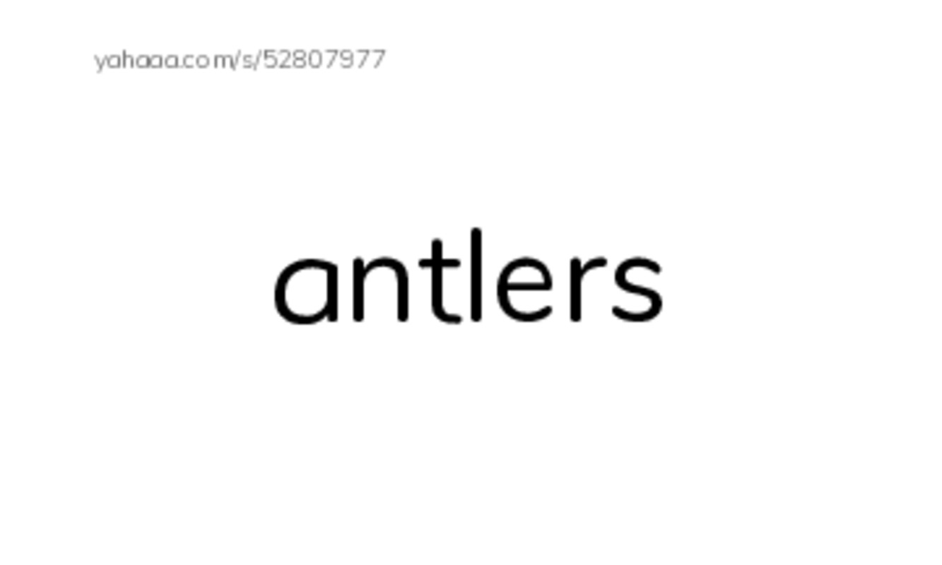 RAZ Vocabulary K: Animals Animals PDF index cards word only