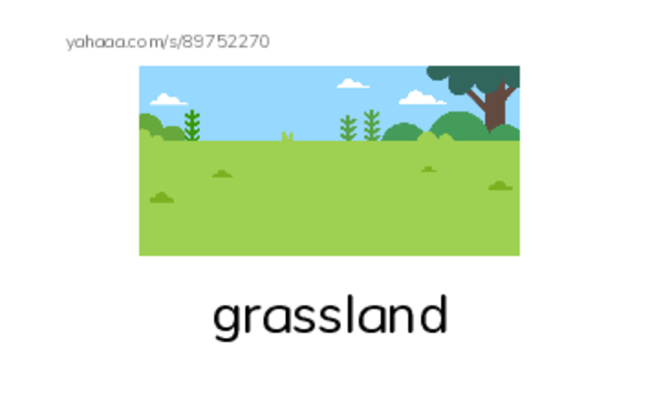 RAZ Vocabulary K: Animals Animals2 PDF index cards with images