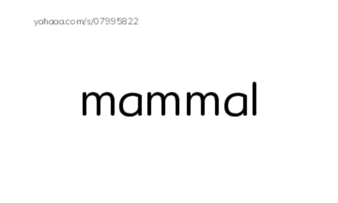 RAZ Vocabulary K: Extreme Animals PDF index cards word only
