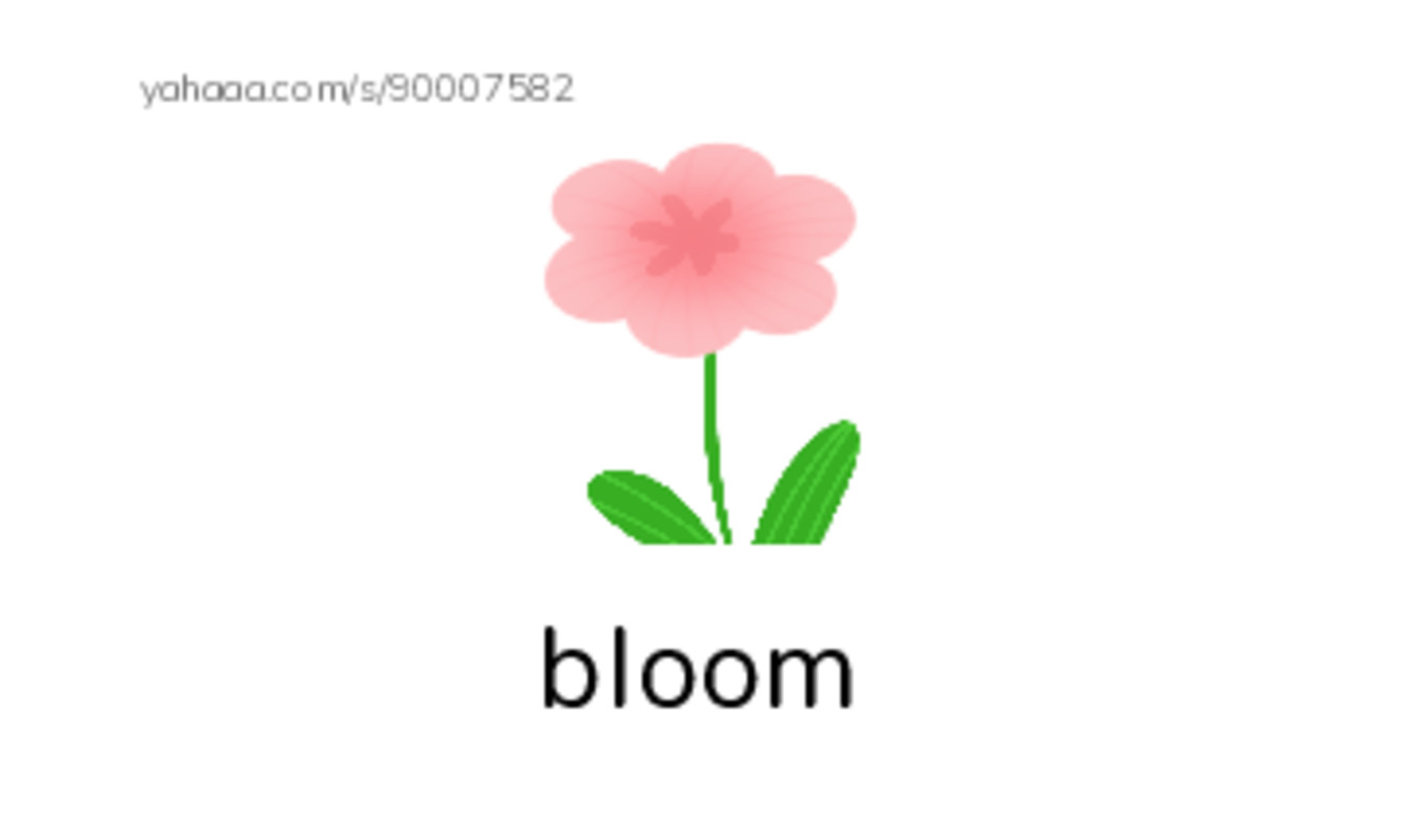 RAZ Vocabulary K: How Glooskap Found Summer PDF index cards with images