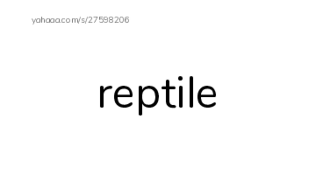 RAZ Vocabulary K: Slithery and Slimy PDF index cards word only