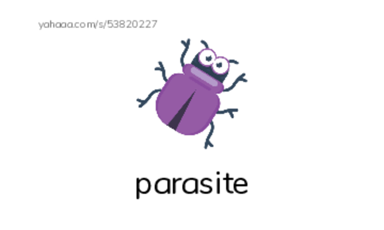 RAZ Vocabulary K: Strange Plants PDF index cards with images