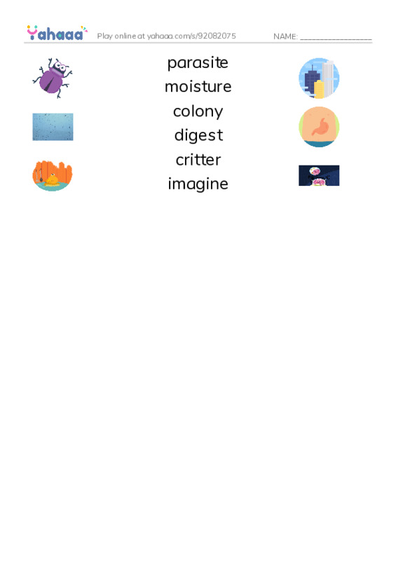RAZ Vocabulary K: Strange Plants PDF three columns match words