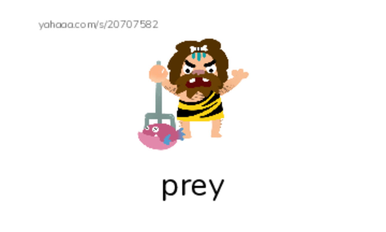RAZ Vocabulary K: Tarantula PDF index cards with images