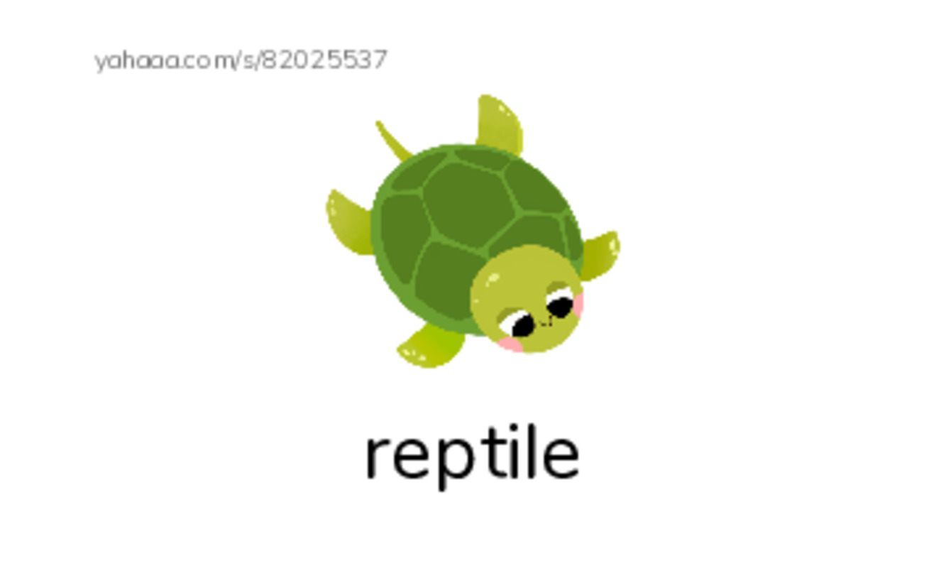 RAZ Vocabulary L: Crocs and Gators PDF index cards with images