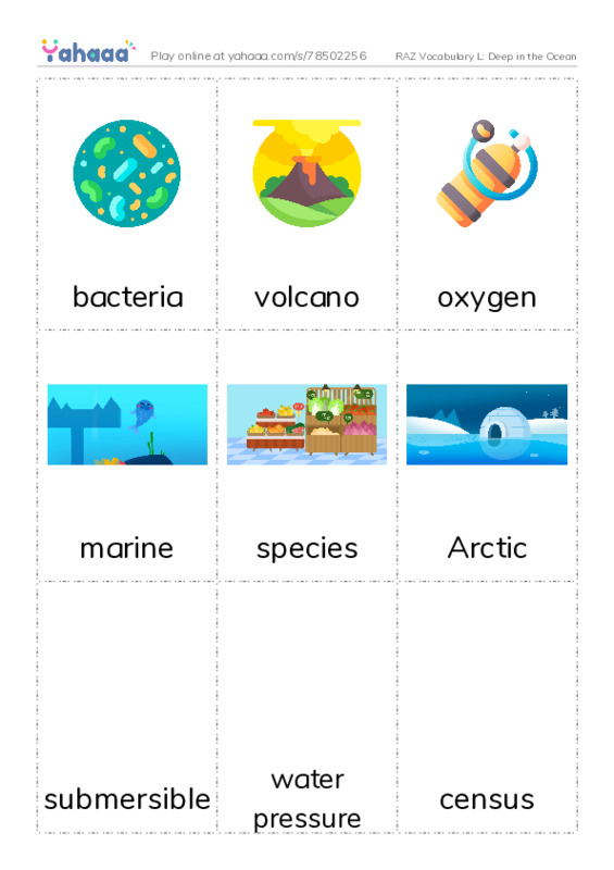 RAZ Vocabulary L: Deep in the Ocean PDF flaschards with images