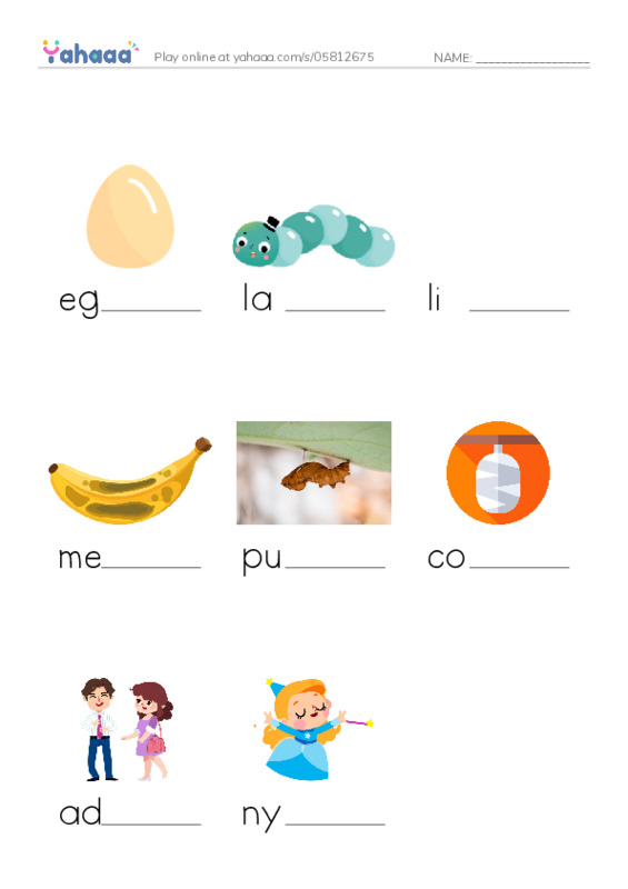 RAZ Vocabulary L: Insect Life Cycle PDF worksheet to fill in words gaps