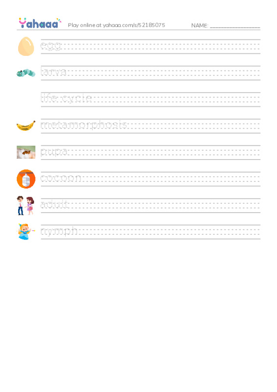 RAZ Vocabulary L: Insect Life Cycle PDF write between the lines worksheet