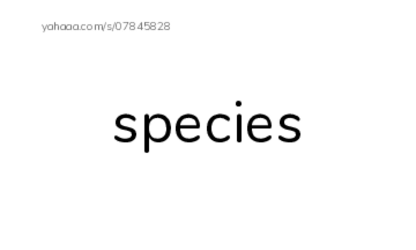 RAZ Vocabulary L: Jane Goodall PDF index cards word only