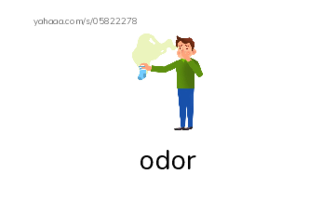 RAZ Vocabulary L: Smelly Clyde PDF index cards with images