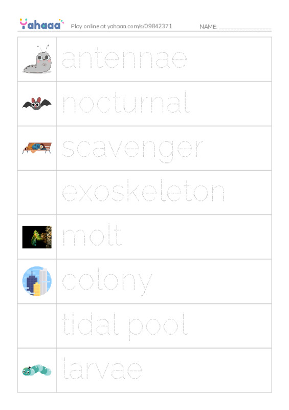 RAZ Vocabulary M: Hermit Crabs PDF one column image words