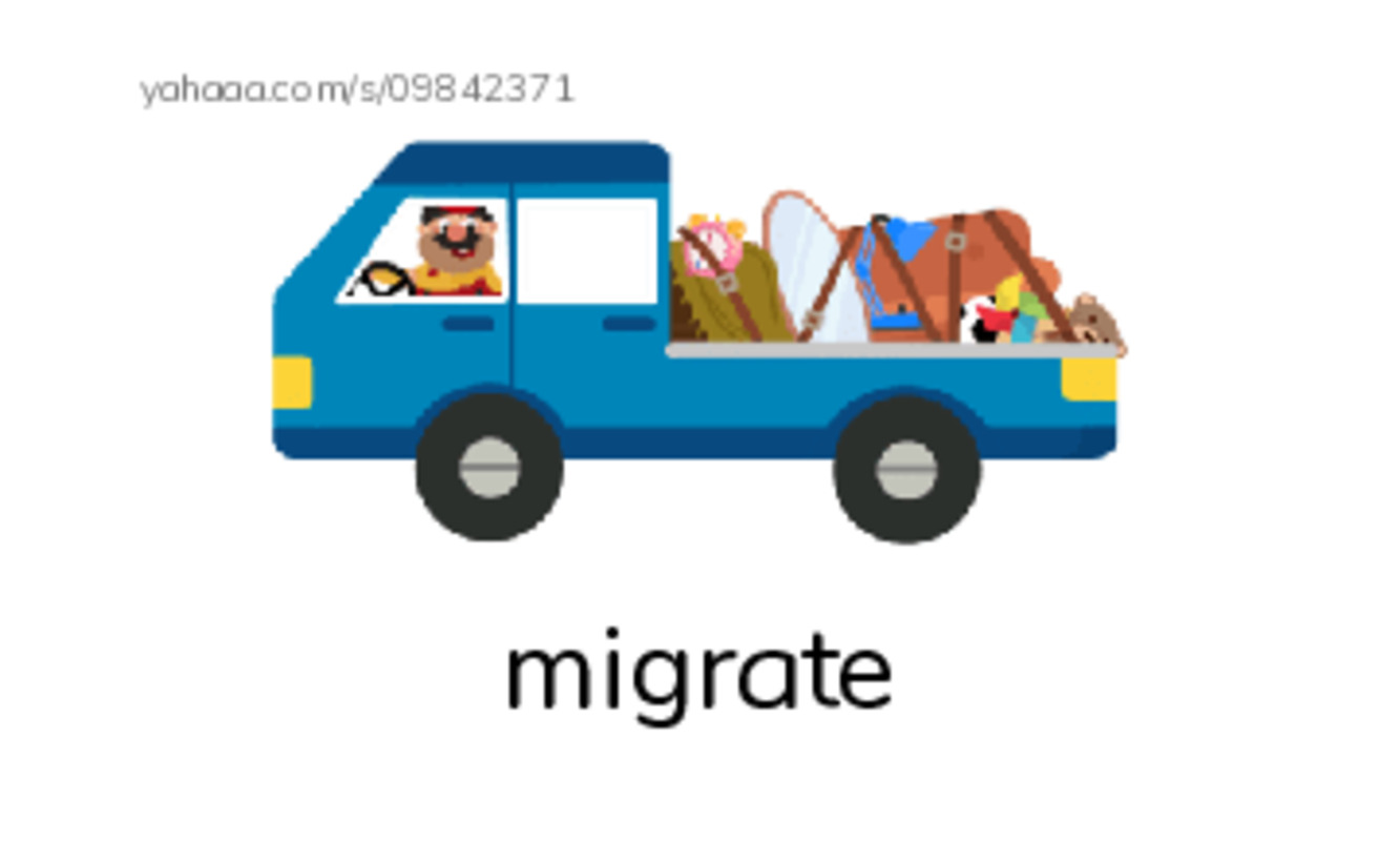 RAZ Vocabulary M: Hibernation PDF index cards with images