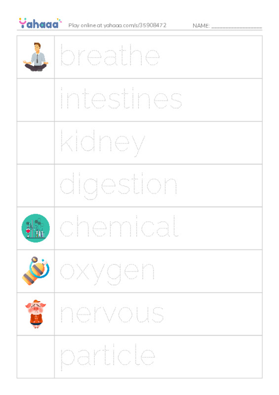 RAZ Vocabulary M: Inside Your Body PDF one column image words