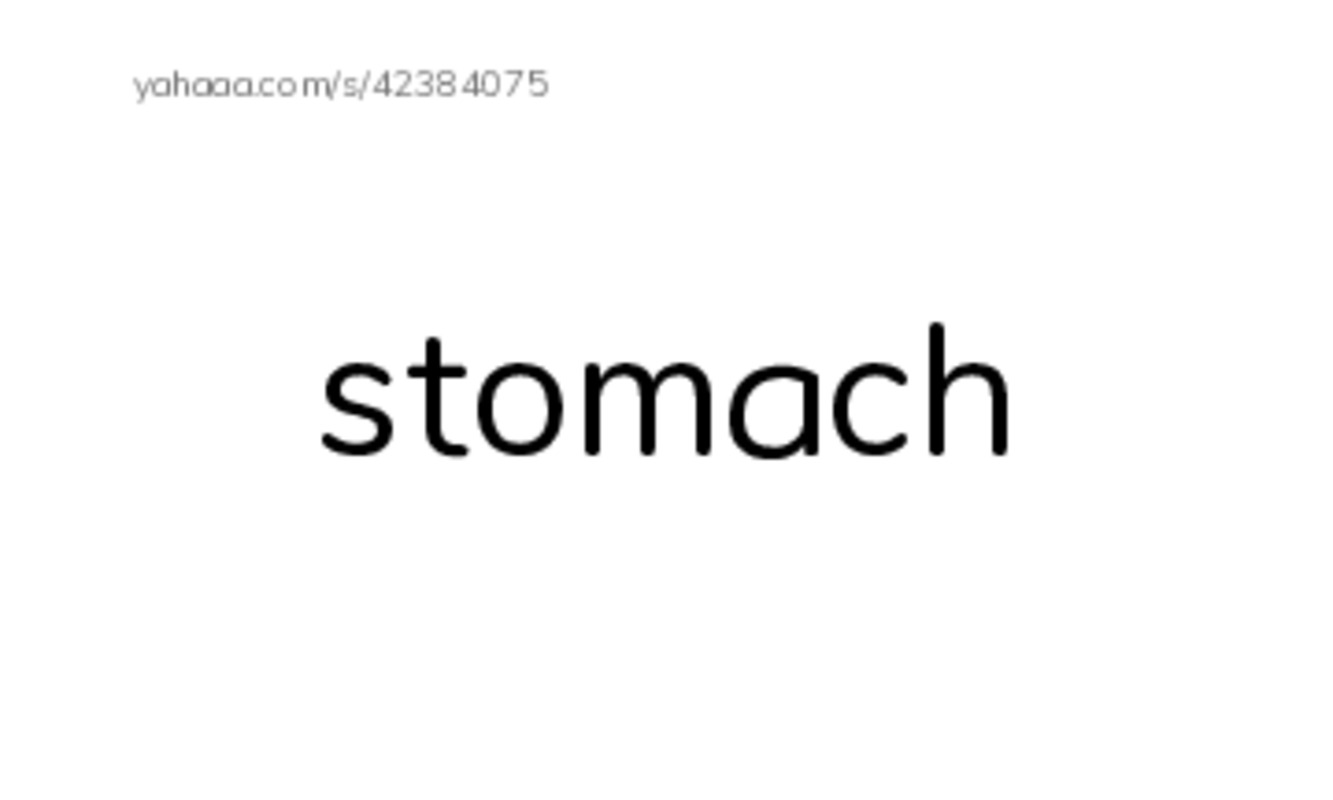 RAZ Vocabulary M: Inside Your Body2 PDF index cards word only
