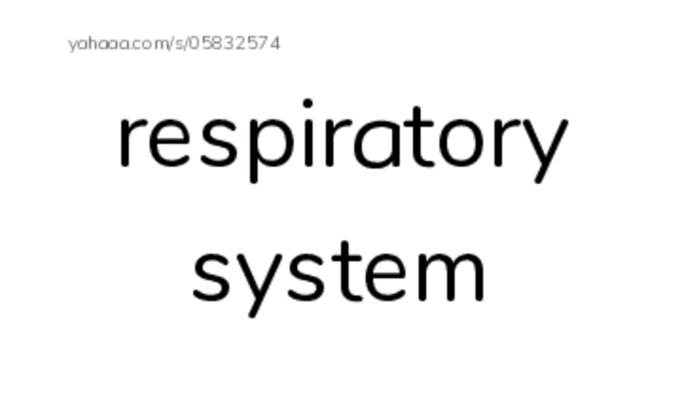 RAZ Vocabulary M: Inside Your Body3 PDF index cards word only