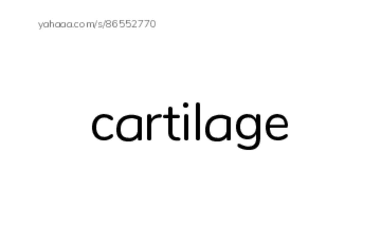 RAZ Vocabulary M: Sharks PDF index cards with images