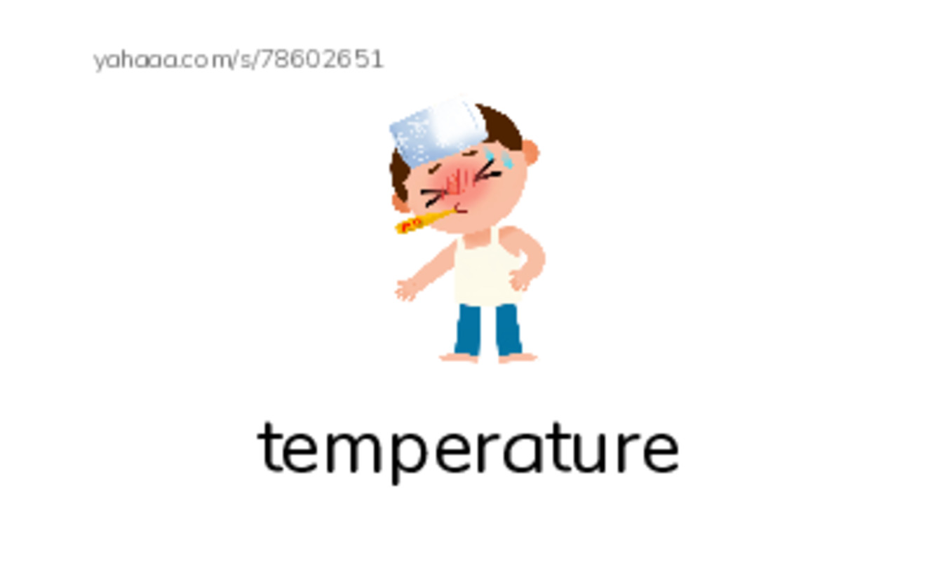 RAZ Vocabulary M: The Best Guess PDF index cards with images