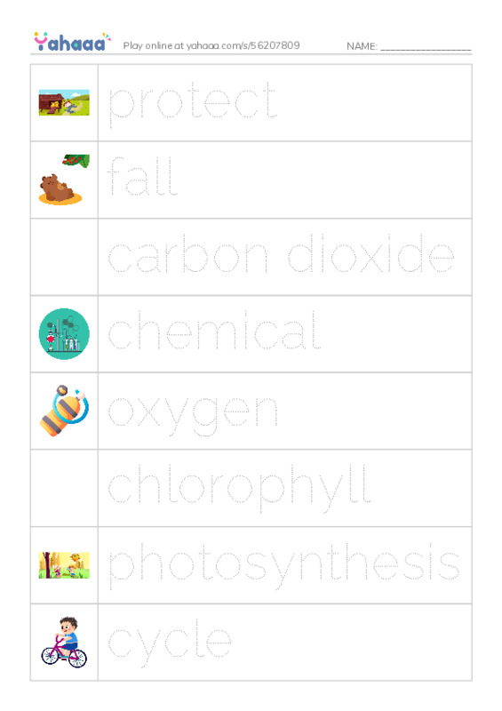 RAZ Vocabulary M: Why Do Leaves Change Color PDF one column image words