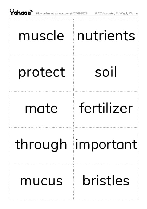RAZ Vocabulary M: Wiggly Worms PDF two columns flashcards