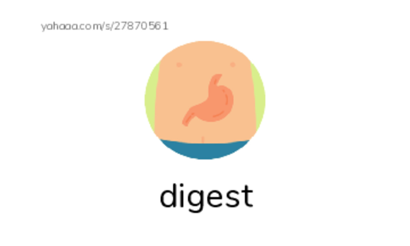 RAZ Vocabulary N: Bedbugs Bite PDF index cards with images