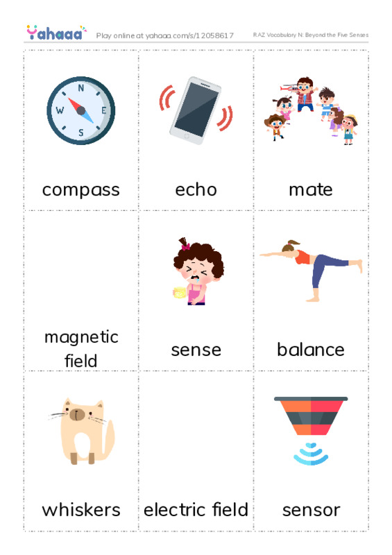 RAZ Vocabulary N: Beyond the Five Senses PDF flaschards with images