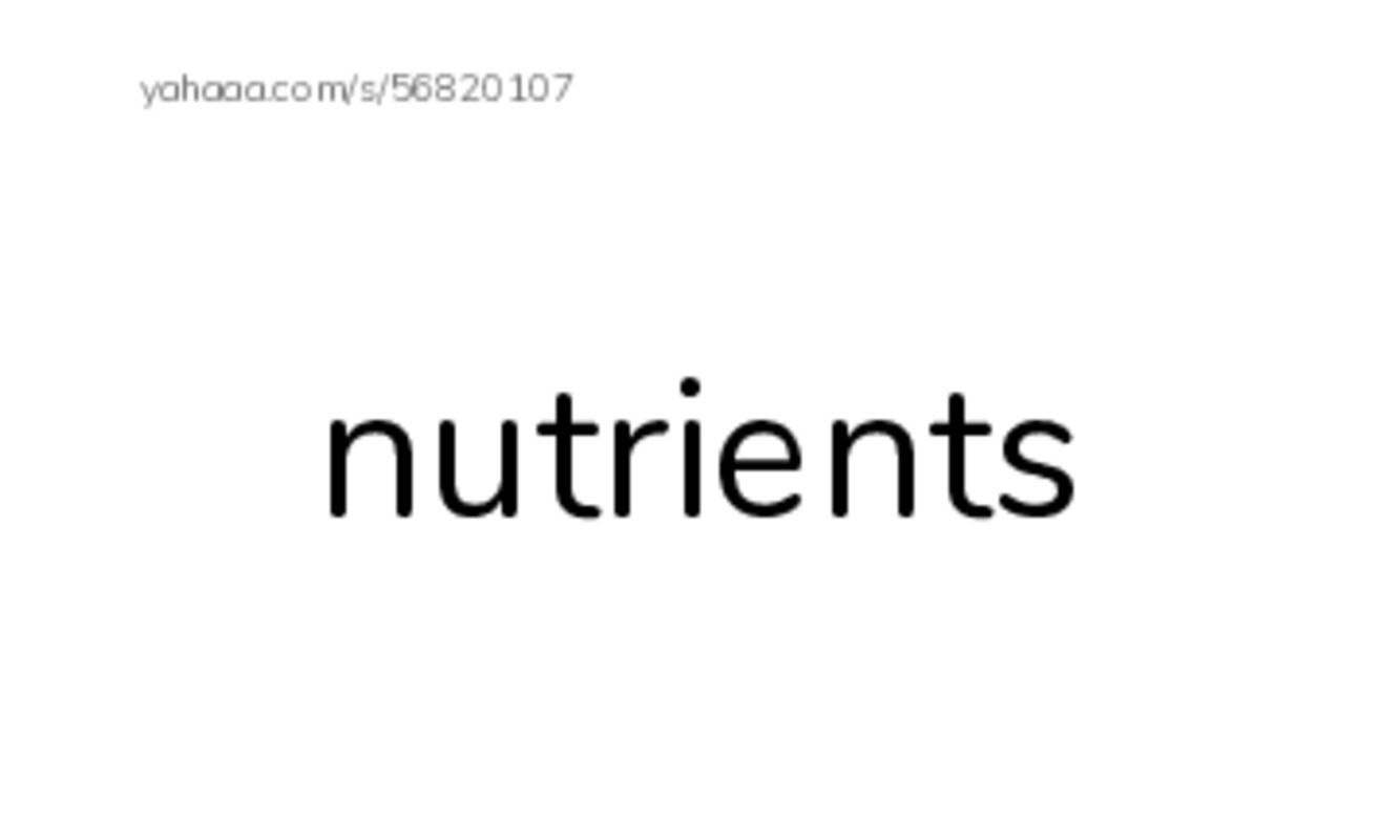 RAZ Vocabulary N: Extreme Animals PDF index cards with images