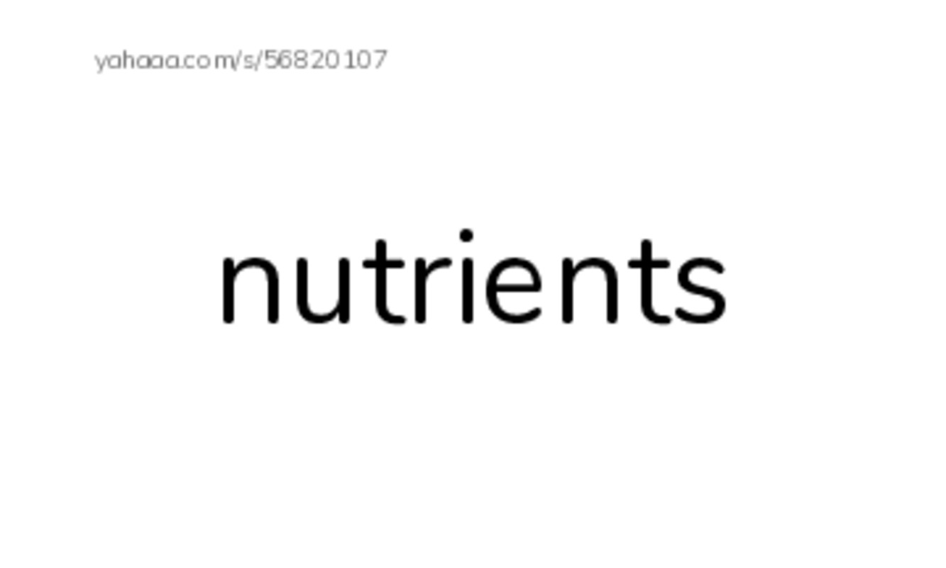 RAZ Vocabulary N: Extreme Animals PDF index cards word only