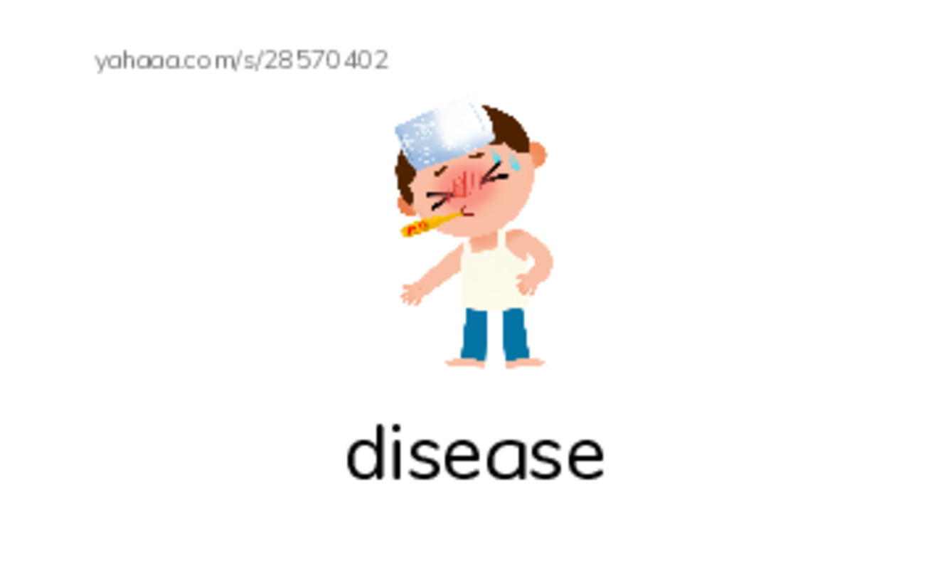 RAZ Vocabulary N: Horseshoes Arent Just for Good Luck PDF index cards with images