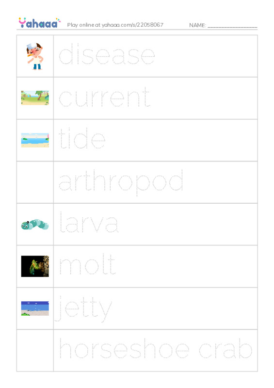 RAZ Vocabulary N: Horseshoes Arent Just for Good Luck PDF one column image words